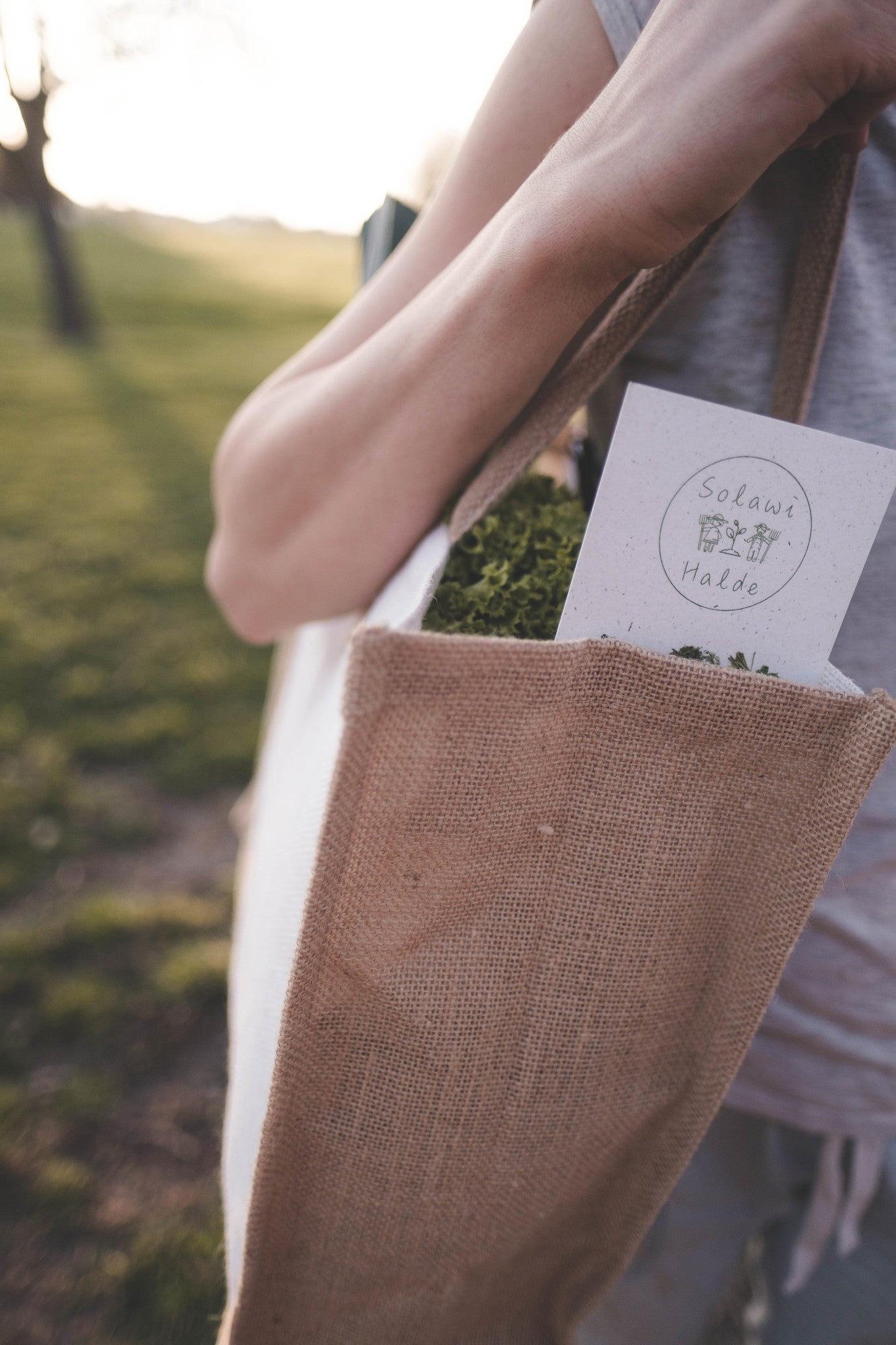 Gemüsetaschen Probeabo – Solawi Halde