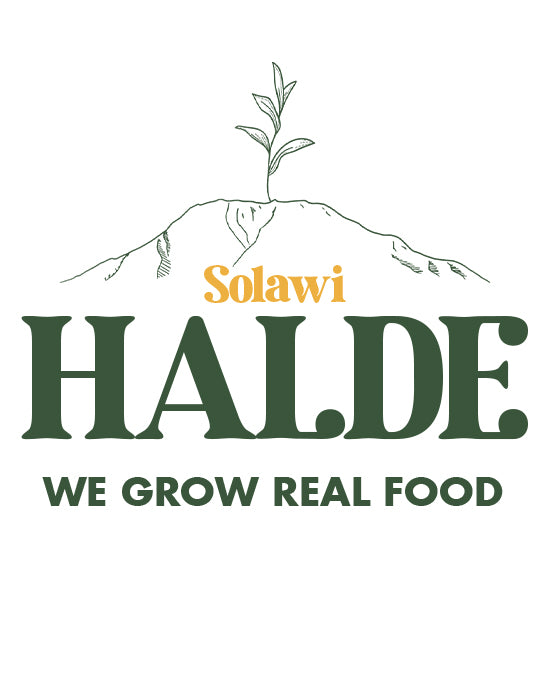 Solawi Halde