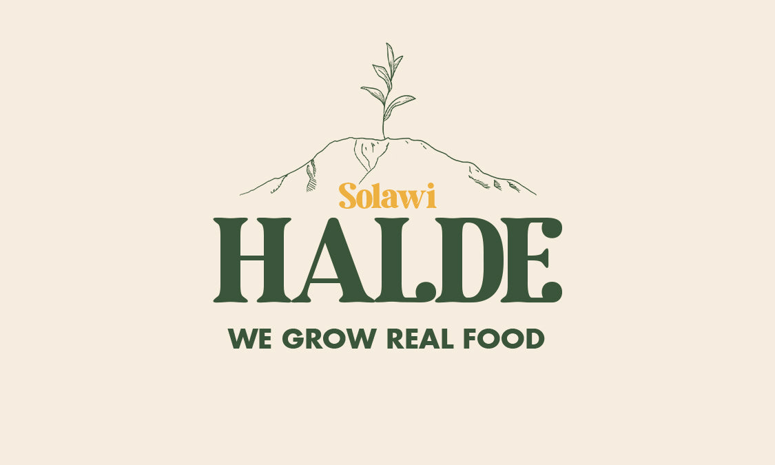 Solawi Halde