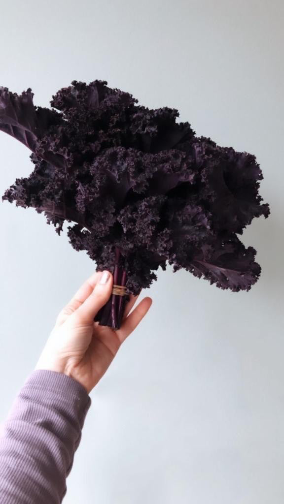 Grüner oder roter Federkohl (200g)