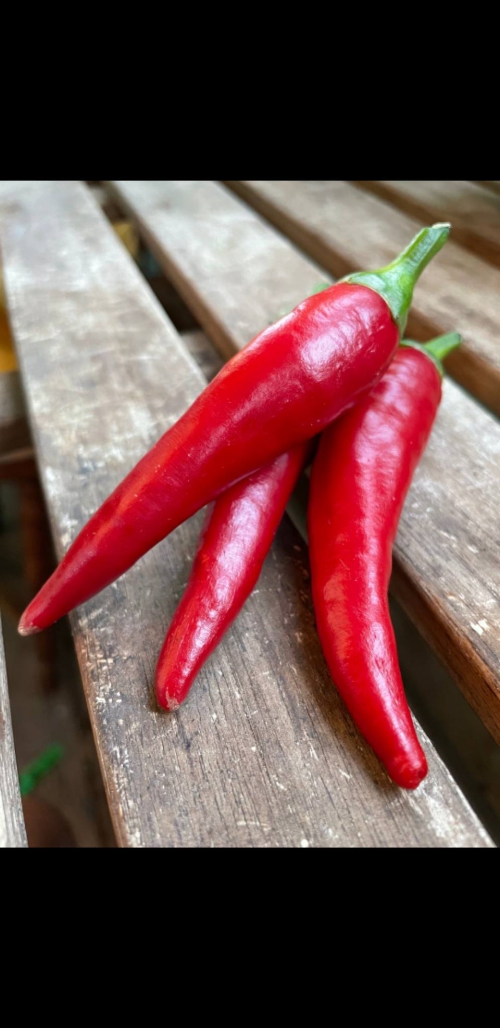 Chili (100g)