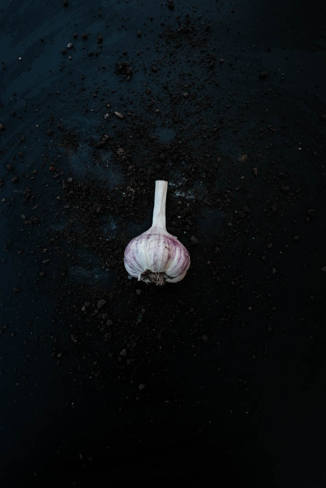Knoblauch (100g)