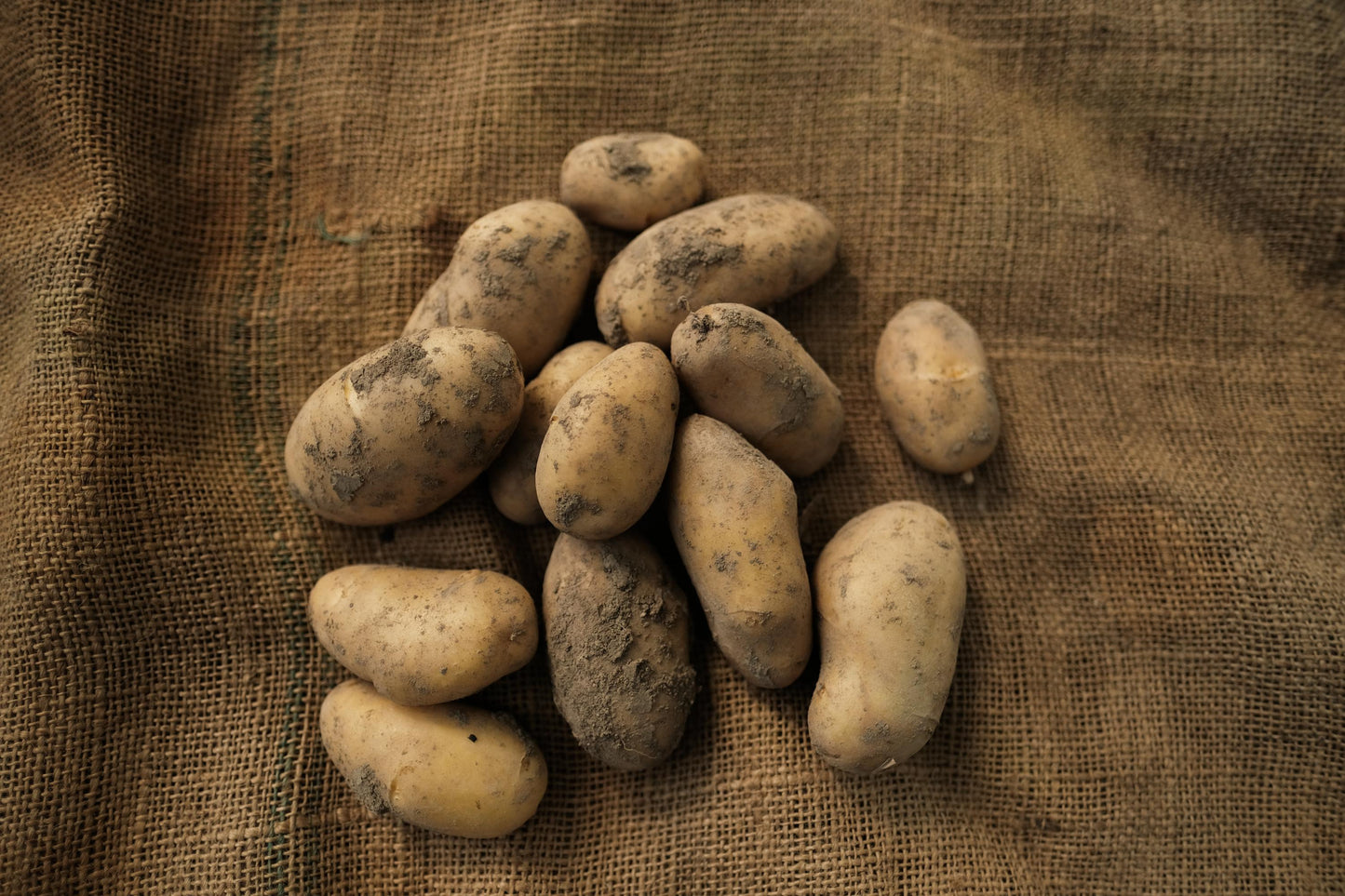 Kartoffeln mehligkochend Jelly (kg)