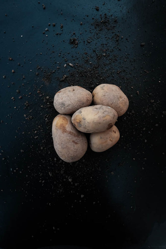 Kartoffeln   Agria Mehligkochen (kg)